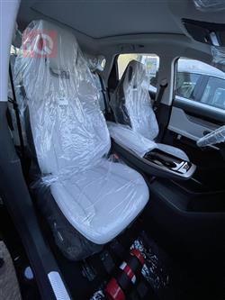 جیتۆر داشينگ